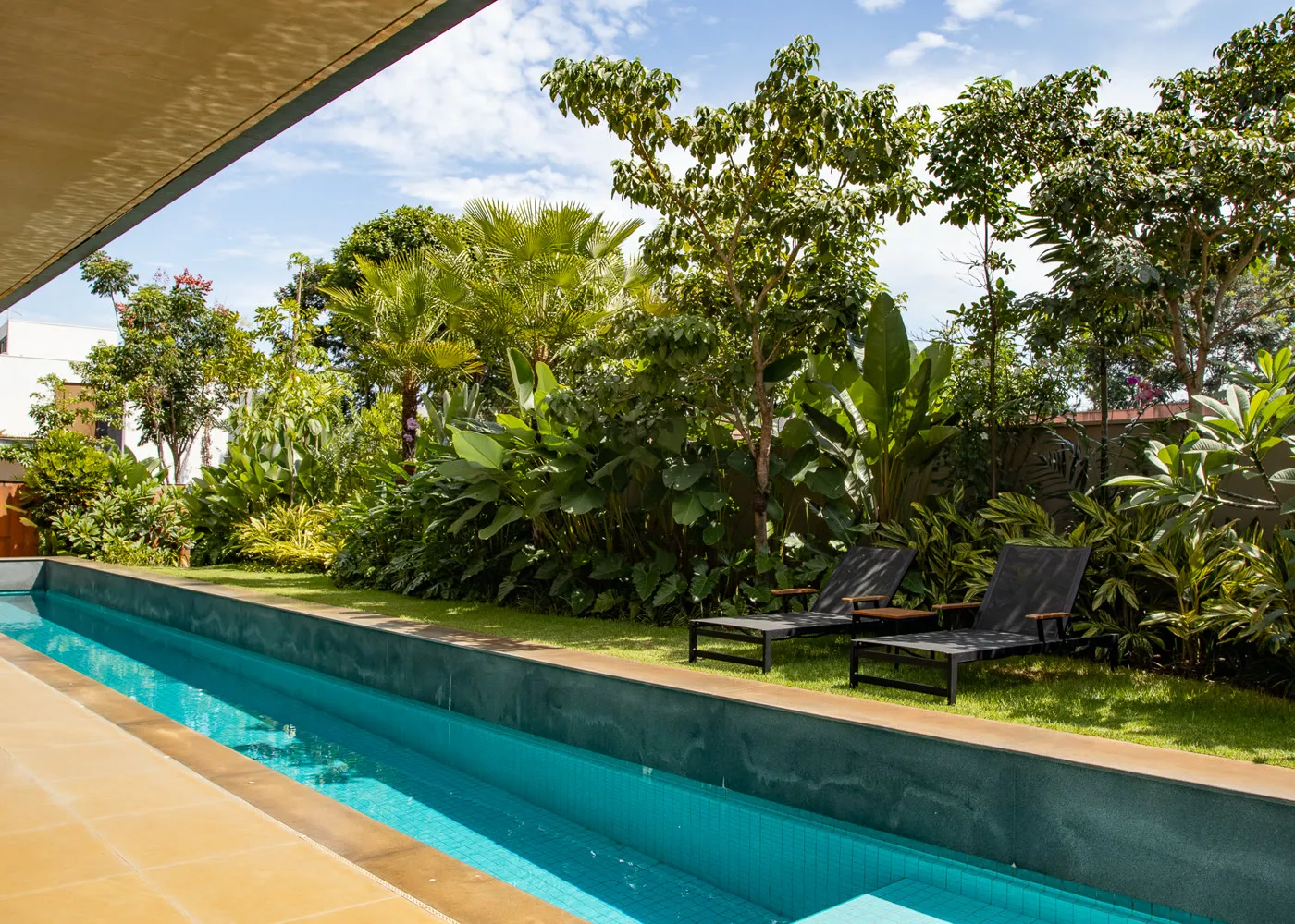 Piscina com vegetação em camadas sob sol pleno no projeto Bordas do Parque, em Ribeirão Preto