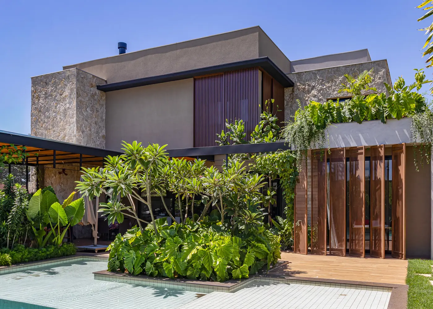 A cluster of frangipani trees planted on an island beside the pool, with broad-leaved ground cover, at the Bunganvile project in Ribeirão Preto, Brazil