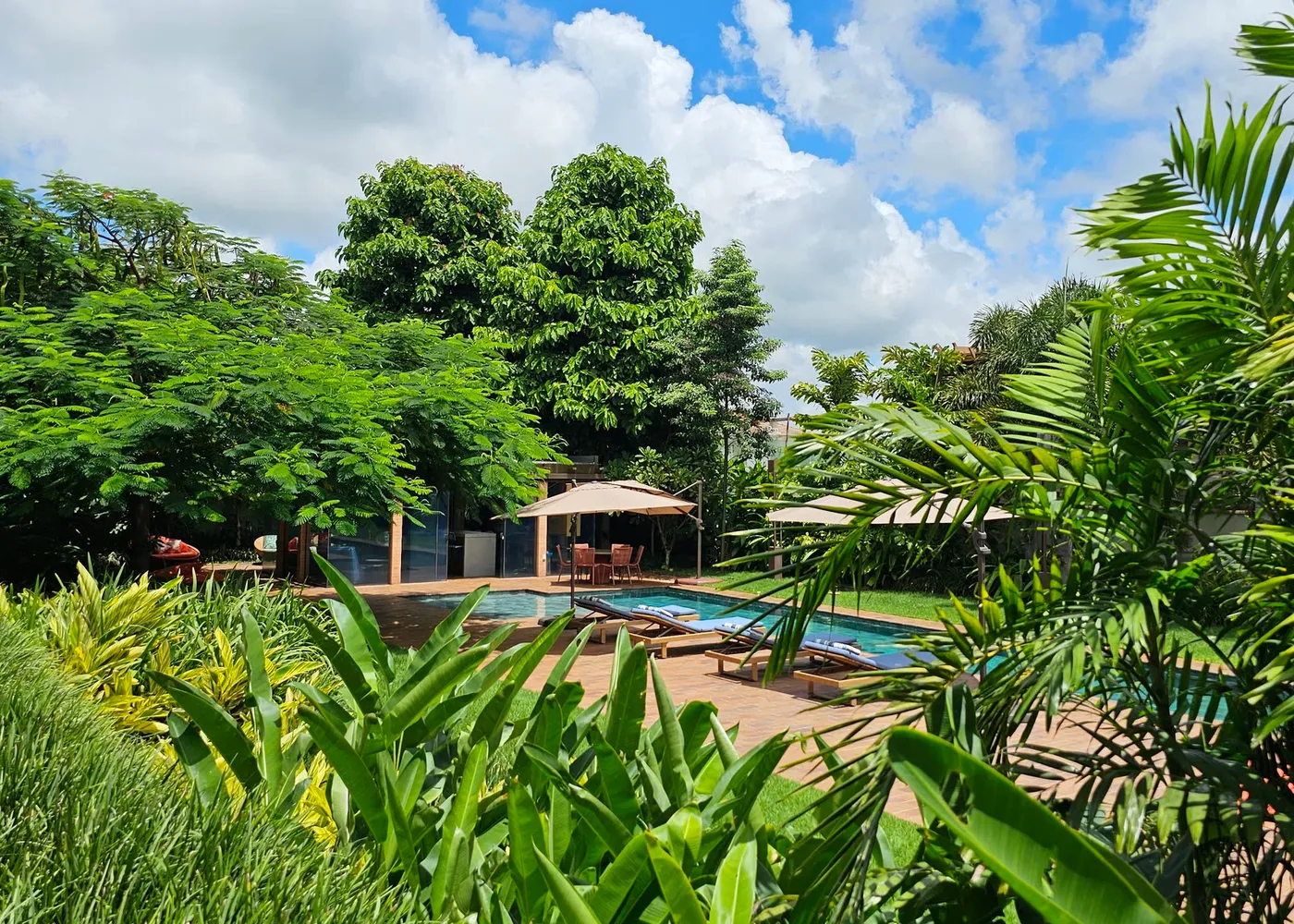 Jardim tropical em camadas sob céu de chuva, com copas, palmeiras e piscina, no projeto Ipê Amarelo, em Ribeirão Preto