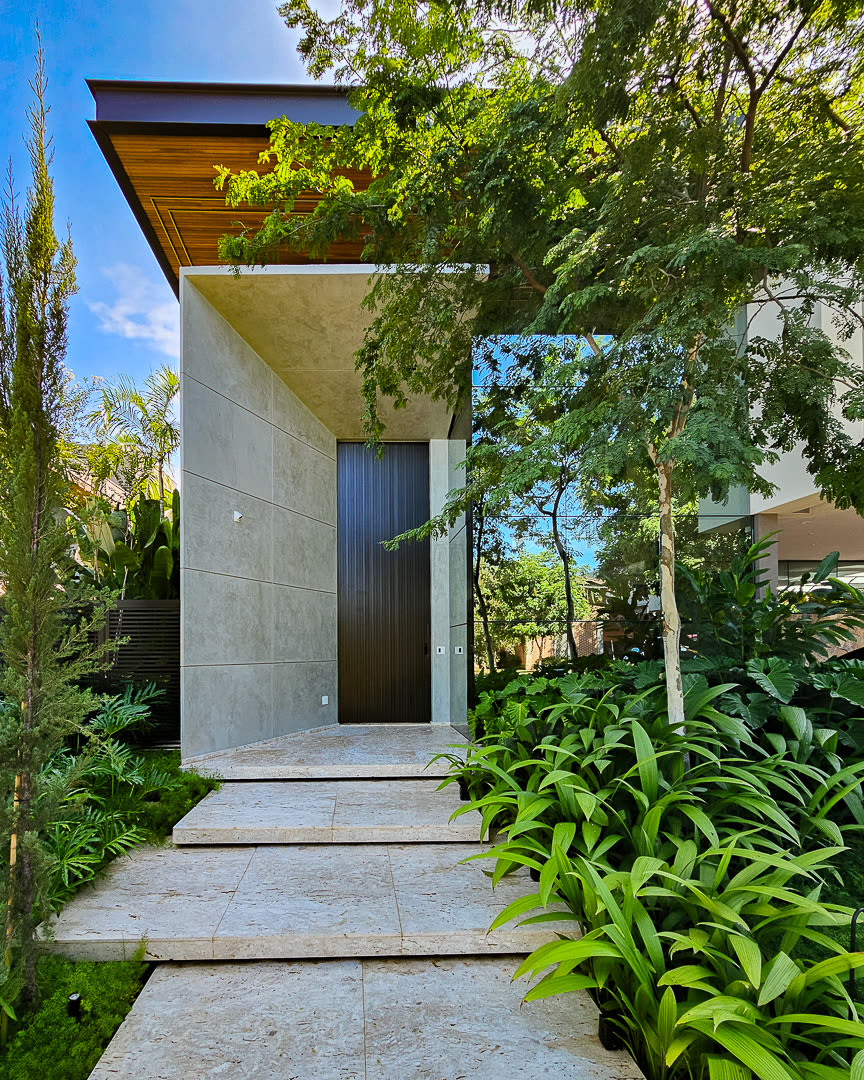 Ipê Branco — 4